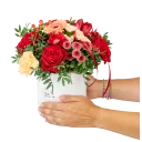 Box červených květů